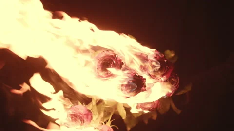 Burning Bunch Of Flowers At Night Stock Footage 201325302