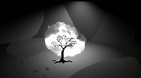 Burning Bush Stock Footage 374094