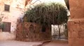 The burning bush. Saint Catherine's Monastery. Sinai. Egypt HD Footage
