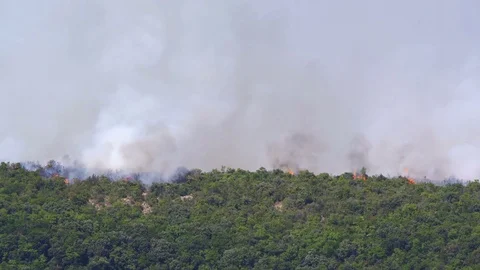 Burning bushes in the hills Stock Footage 78525241