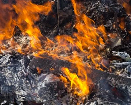 Burning camp fire with logs Stock Photos