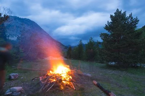 Burning camp fire into remote larch and pine tree woodland with high altitu.. Foto stock