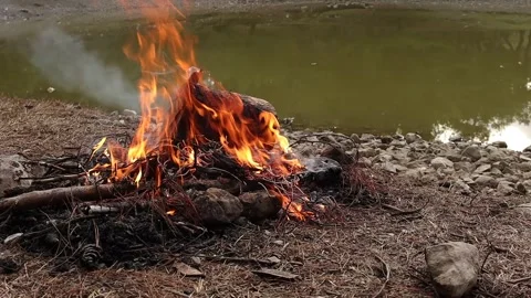 Burning Campfire and the Pond in Forest Closeup Video stock 337974781