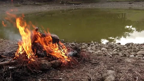 Burning Campfire and the Pond in Forest Stock Footage 337974786