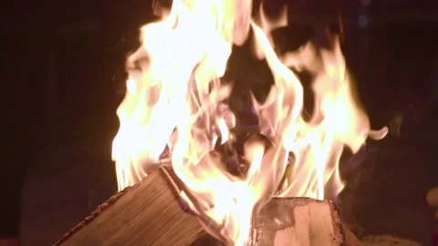 Burning Campfire on Black Background. Flaming Bonfire in Night Forest. Stock Footage 150554304