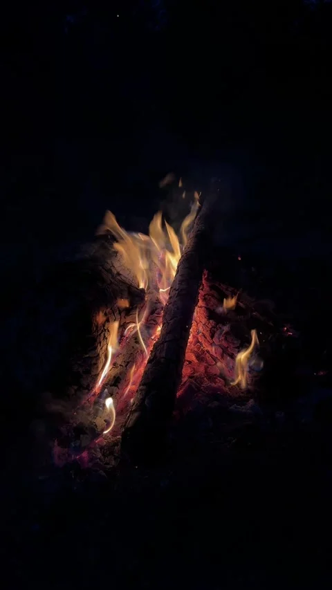 Burning campfire on black background Stock Footage 289550352
