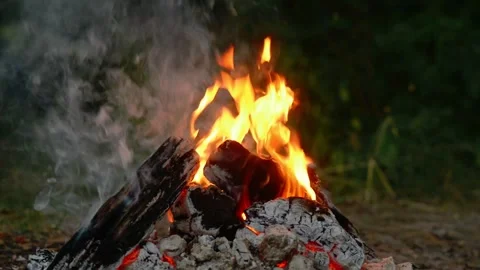 Burning campfire with bright orange flames and smoke in green forest Stock Footage 341878330