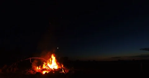 Burning campfire at dark night - 9 Stock Footage 95524640