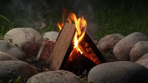 Burning campfire on a dark night in a forest Vídeo Stock 160334319