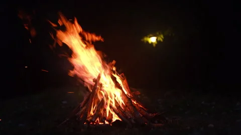 Burning campfire on dark night in forest. Active lifestyle, traveling, hiking Stock Footage 325964359