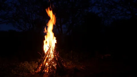 Burning campfire at dusk on a background of trees Stock Footage