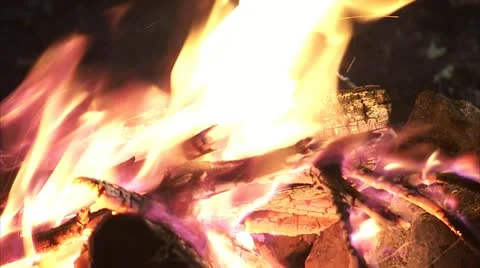 Burning Campfire, the Everglades Florida Video Stock Footage