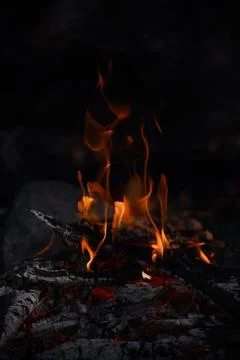 Burning Campfire Flames at Night Stock Photos