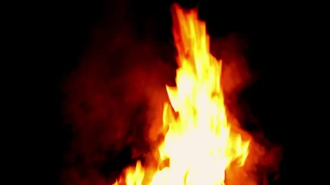 Burning campfire flames rising in dark background Stock Footage 316313797