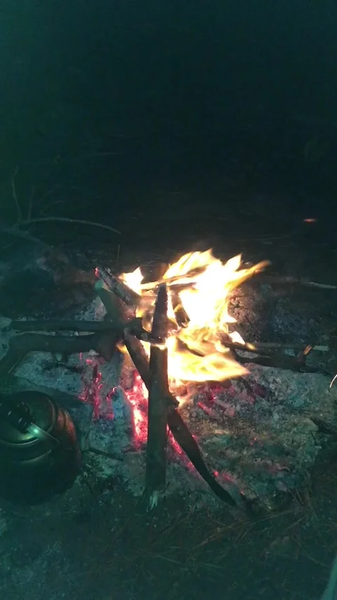 Burning Campfire with Flying Sparks at Night Stock Footage 342182254