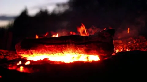 A Burning Campfire 스톡 동영상 42888219