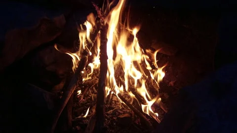 Burning Campfire Video stock 130751143