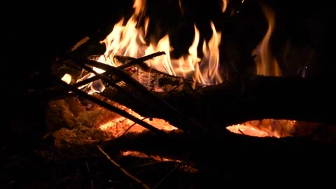 Burning Campfire Stock Footage 150132994