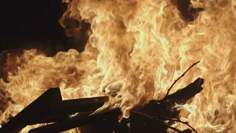 Burning Campfire Stock Footage 150683731