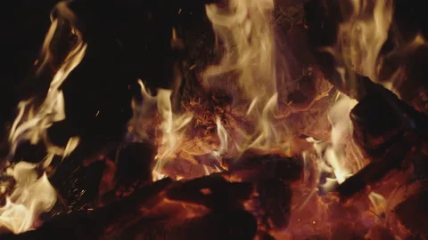 Burning Campfire Stock Footage 150695567