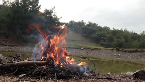 Burning Campfire in the Forest Stock Footage 337974842