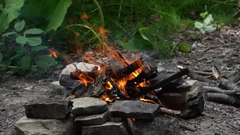 Burning Campfire with Glowing Flames and Wood Cracking Video stock 312764795