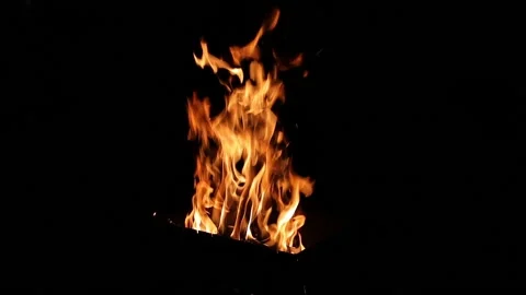 Burning Campfire Isolated on Black Background. Static Shot, slow motion Stock Footage 164661462