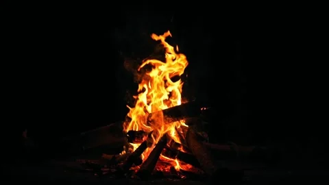 Burning campfire isolated on black background. Fire flames night bonfire sp.. Stock Footage 233493997