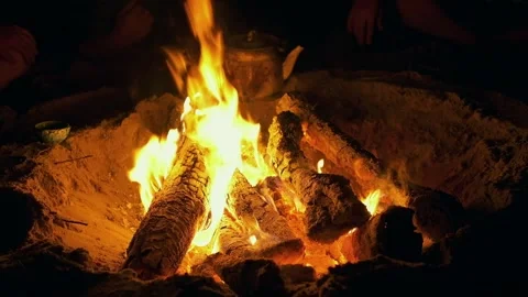 Burning Campfire Isolated on Black Background. Flaming Bonfire in Night Forest. Stock Footage 295928541