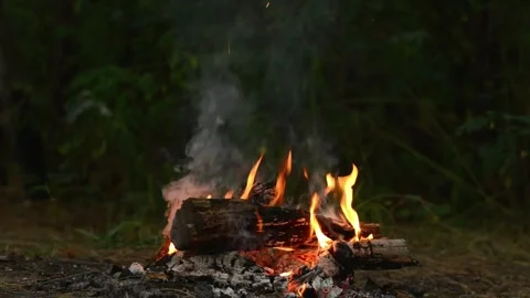 Burning Campfire Logs and Hot Embers Loop Stock Footage 344746595