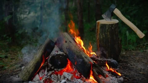 Burning campfire logs with bright flames and axe on stump in forest camp Stock Footage 341878545