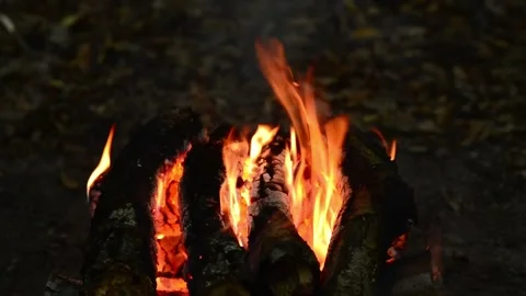 Burning campfire logs with bright glowing embers and flame tongues Stock Footage 345716384