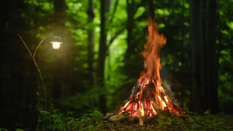 Burning campfire logs with rising sparks in fire pit at spring forest campsite Stock Footage 330678407