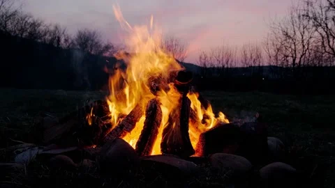 A burning campfire in nature Video stock 152845737