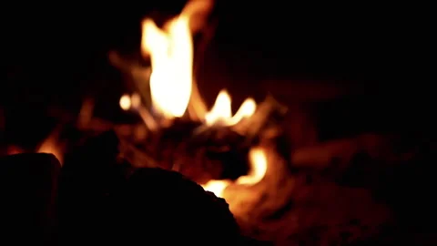 Burning Campfire at Night on Blurred Background Stock Footage 293262535