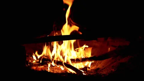 Burning Campfire at Night Stock-Footage 293272909