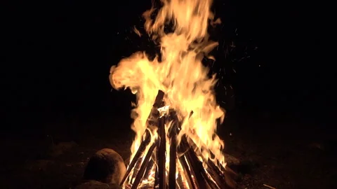 Burning campfire at night, Slow motion Stock-Footage 143246209