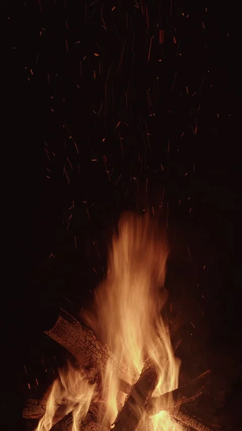 Burning campfire at night. Vertical video. Stock Footage 310795736