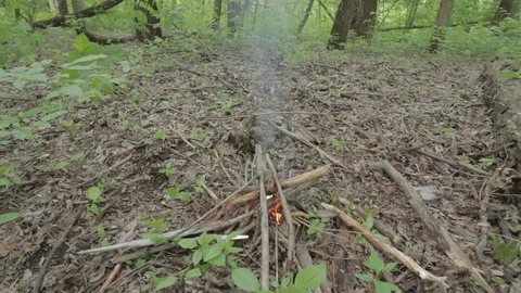 Burning campfire at a spring forest. Preparing charcoal for sausage roasting Vidéo 118112480