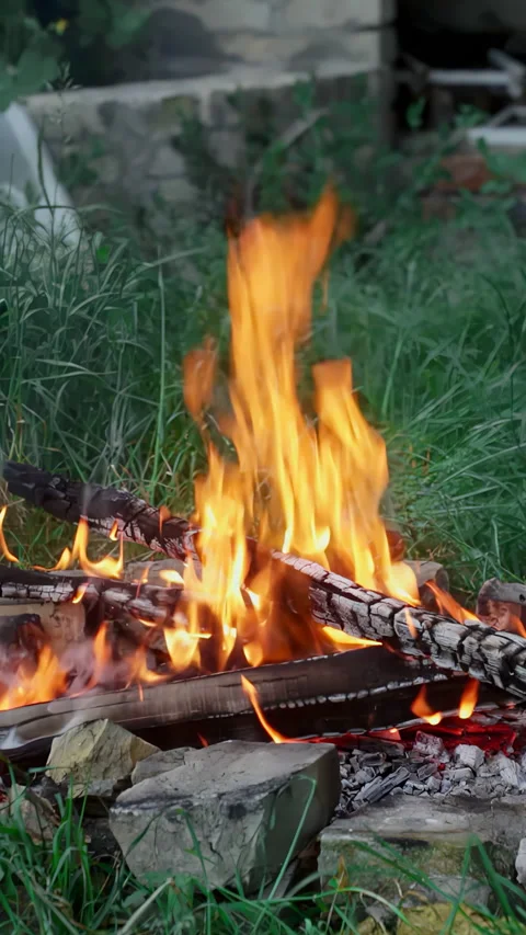 Burning campfire surrounded by bricks against of green grass Stock Footage 233318234