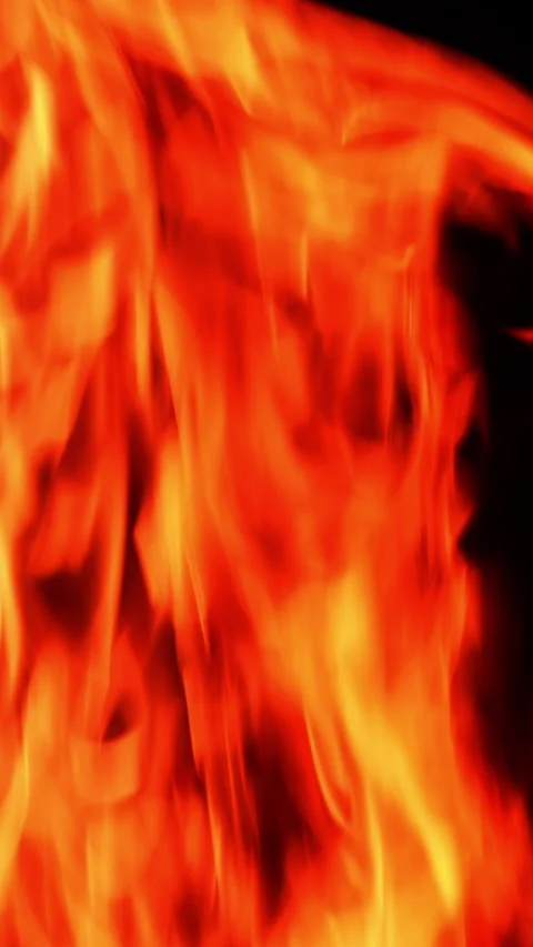Burning campfire on the total black backdrop Stock Footage 308305827