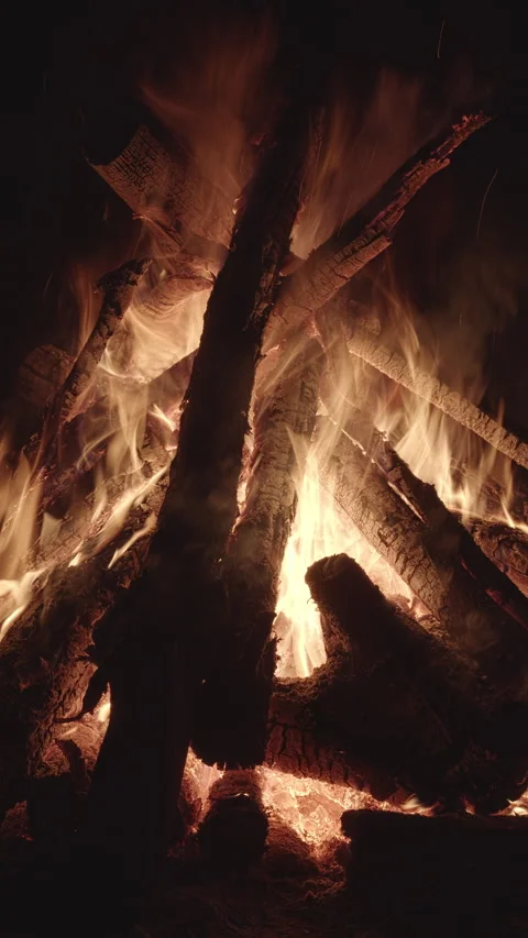 Burning campfire. Vertical video. Stock Footage 307709481