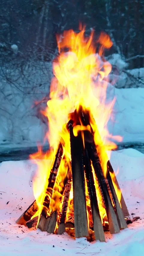 A burning campfire in winter in the forest on the bank of a mountain river. Vídeo Stock 344022388