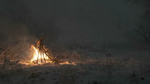 Burning campfire in winter forest at night Stock Footage 168924795