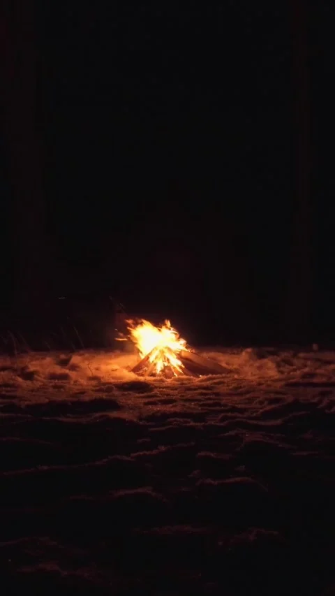 A burning campfire in winter in the forest, at night. Stock Footage 317943032