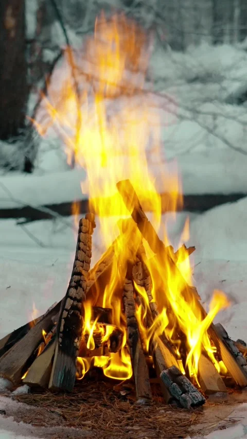 A burning campfire in winter in a snowy forest. Vertical video, shorts. Stock Footage 326195635
