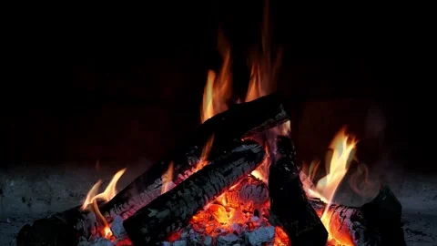 Burning Campfire Wood Logs Flames Close Up Fire Loop 動画素材 340298227