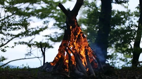 Burning camping fire in the mountains Stock Footage 59946209