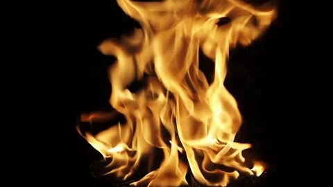 Burning camping fire in the night. Stock Footage 83032113