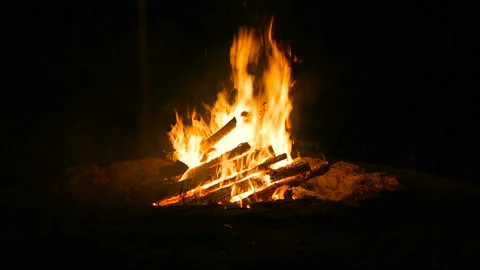 Burning camping fire in the night. Stock Footage 85892921